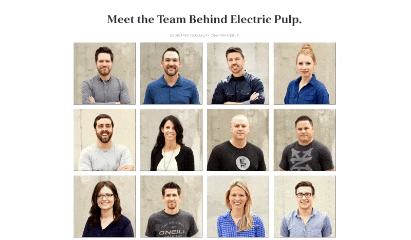 electric pulp meet the team page example electric pulp best team pages