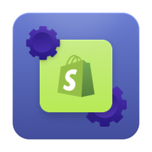 Shopify Custom Import Service