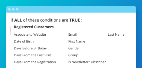 customer-data-segment