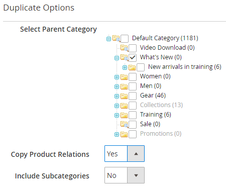 duplicate-options-magento-2