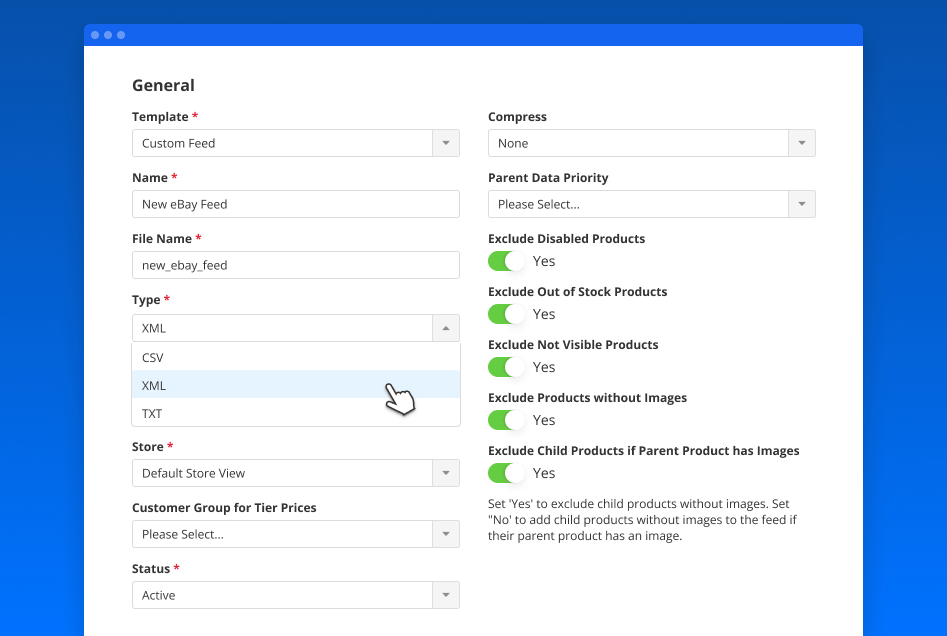 custom-ebay-feed-setup-step-1-general