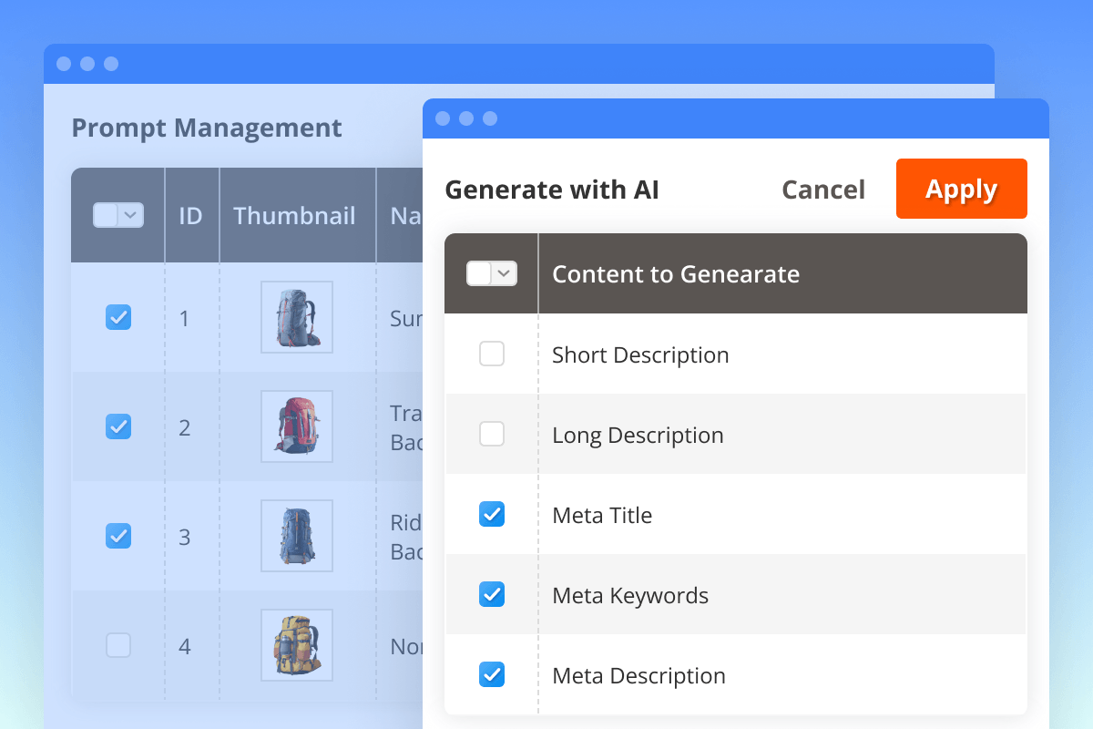Description11-gemini