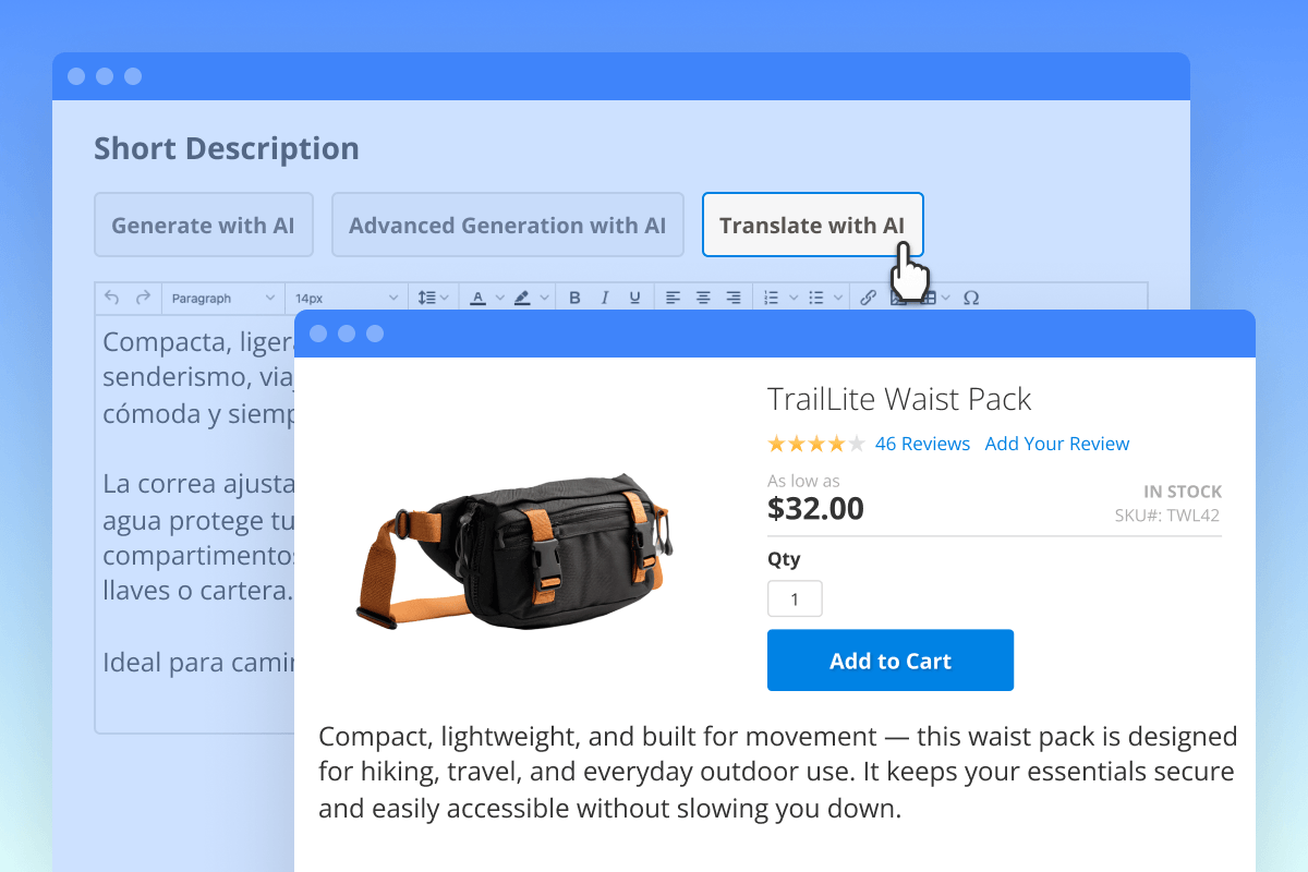 Description12-gemini_2