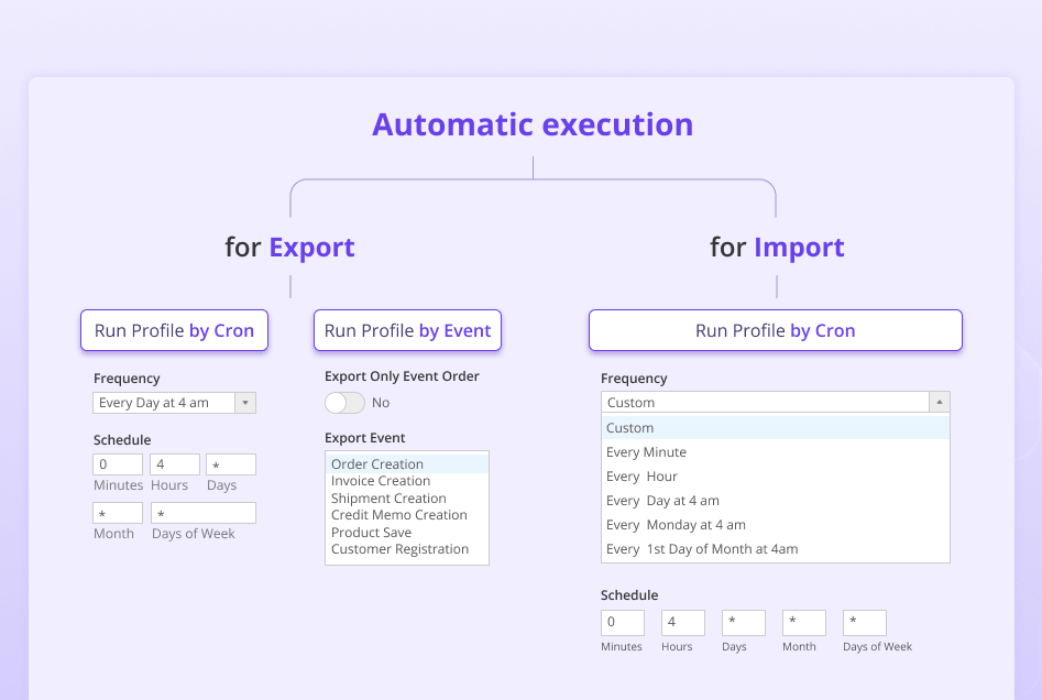 import-and-export-premium-description-10