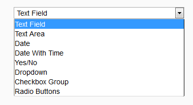 magento-order-attributes-input-types
