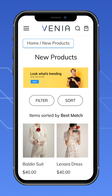 pwa-landing-pages-m2-description1