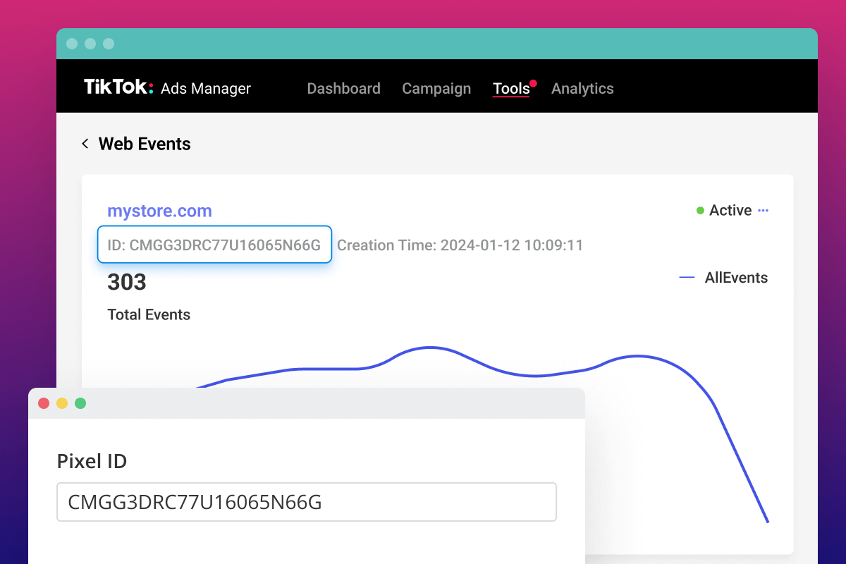 tiktok-pixel-description-1